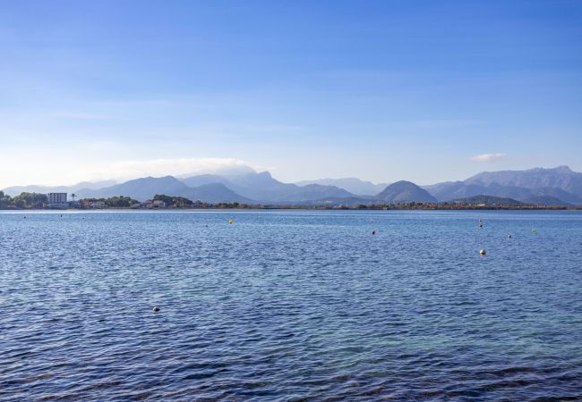 Apartamento en Alcúdia - Sol i Mar Apartamento en Alcúdia - Sol i Mar