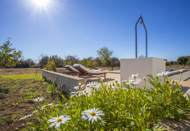 Finca en Selva - Ses Planes Finca en Selva - Ses Planes