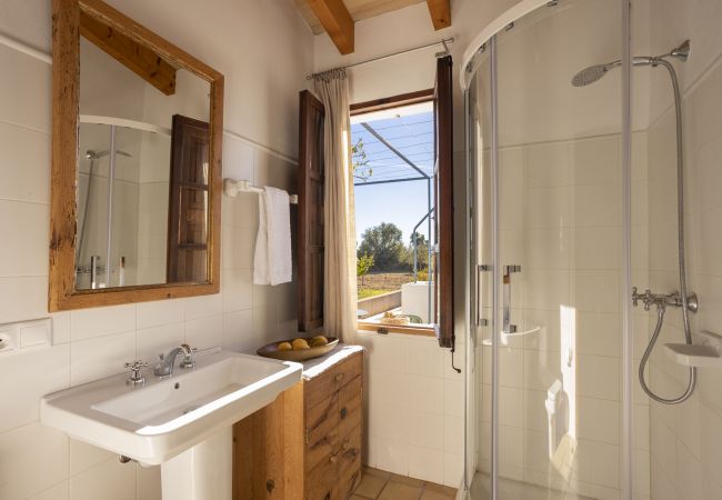 Finca en Selva - Ses Planes Finca en Selva - Ses Planes