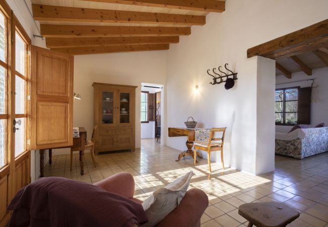 Finca en Selva - Ses Planes Finca en Selva - Ses Planes