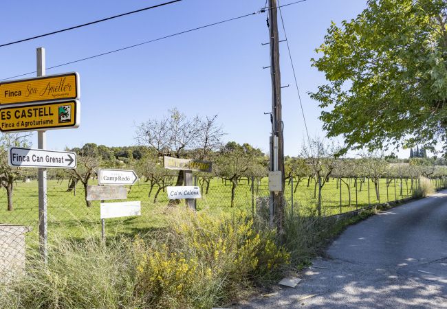 Villa en Caimari - Finca Can Grenat Villa en Caimari - Finca Can Grenat