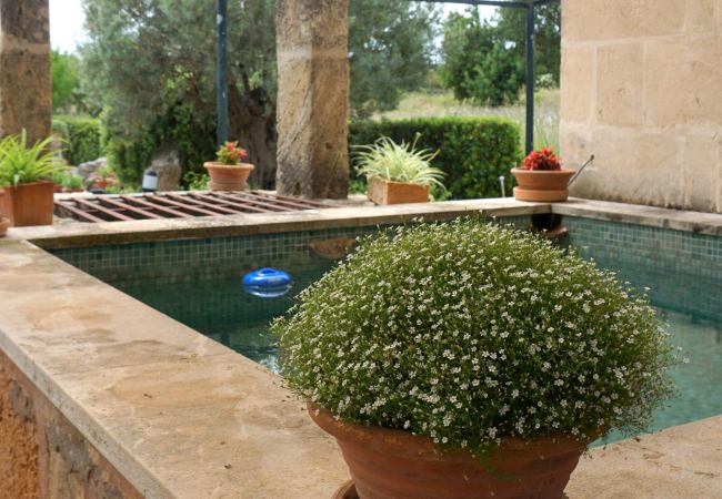 Finca en Moscari - Sa Caseta Finca en Moscari - Sa Caseta