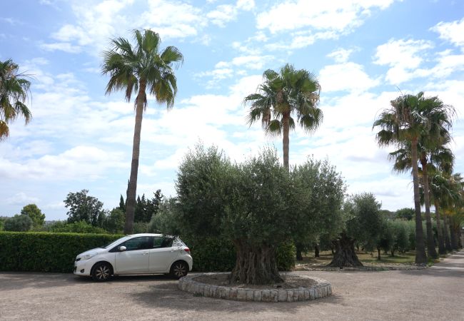 Finca en Moscari - Sa Caseta Finca en Moscari - Sa Caseta