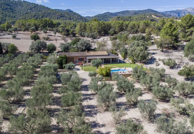 Villa in Selva - Villa Ses Comes Villa in Selva - Villa Ses Comes