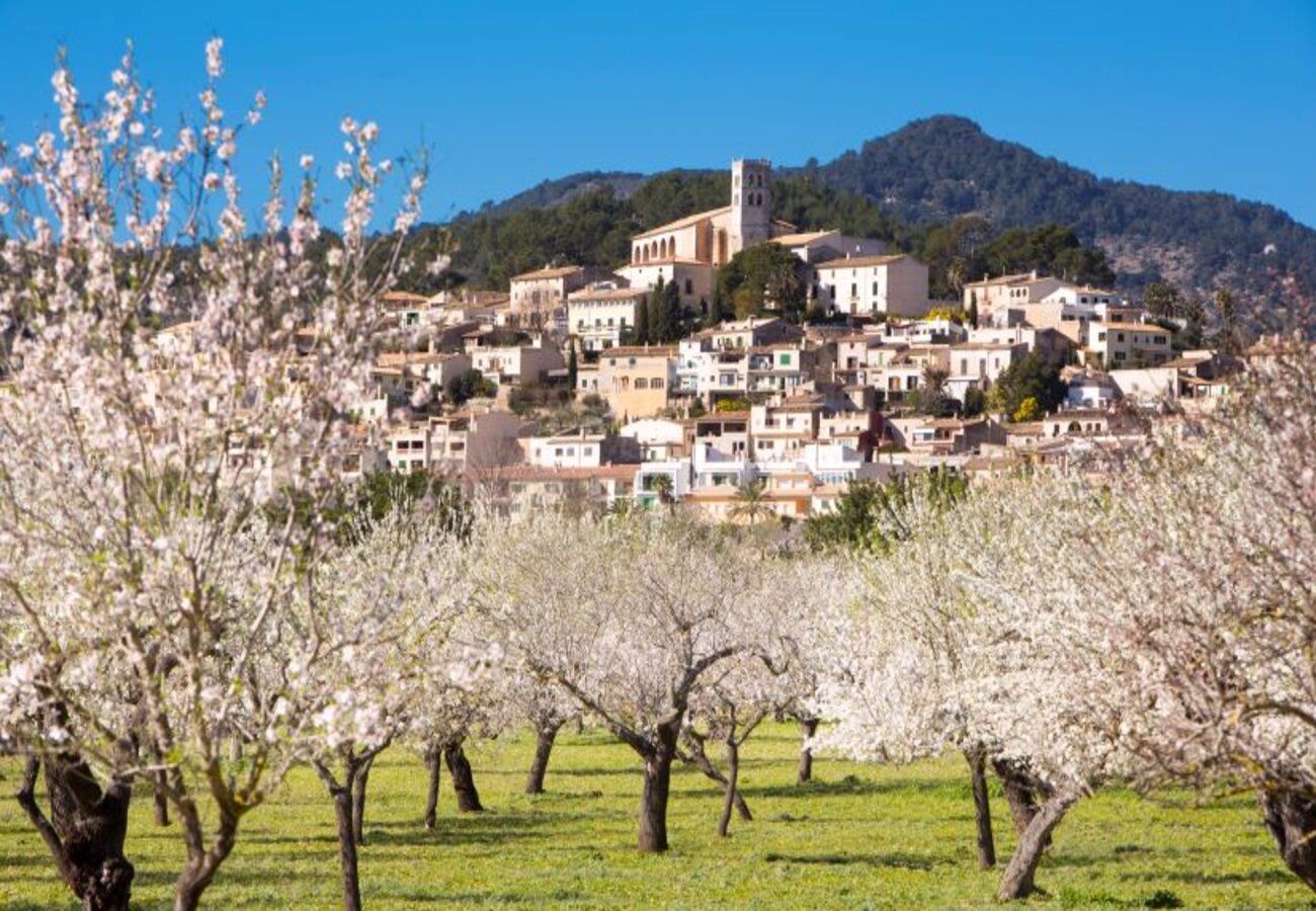 Country house in Caimari - Finca Can Calistro Country house in Caimari - Finca Can Calistro