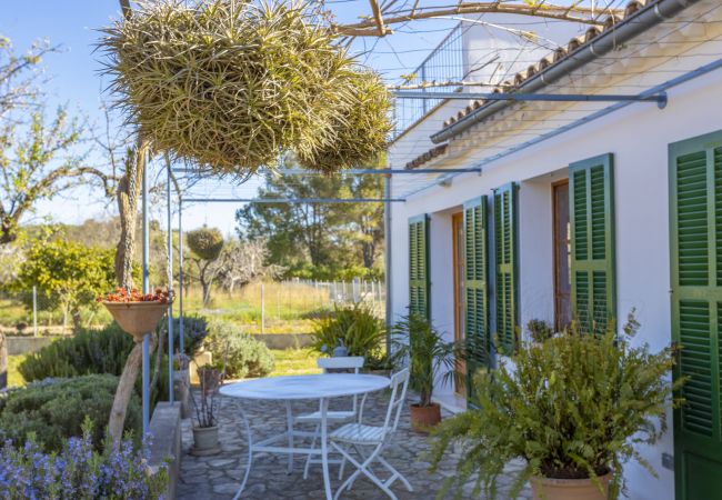 Country house in Selva - Ses Planes Country house in Selva - Ses Planes