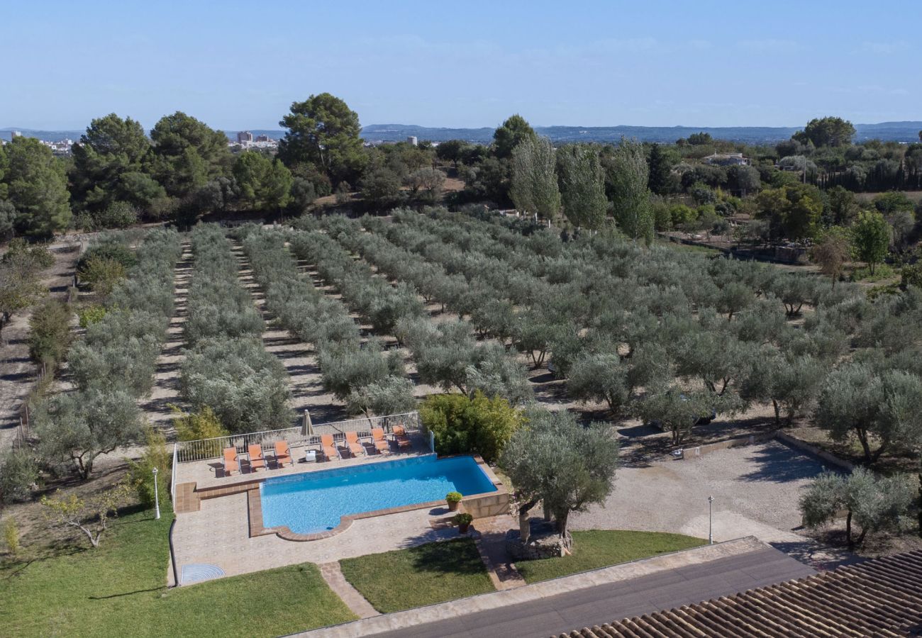 Villa in Selva - Villa Ses Comes Villa in Selva - Villa Ses Comes