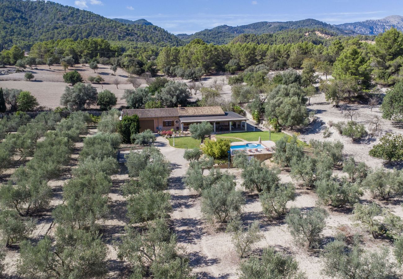 Villa in Selva - Villa Ses Comes Villa in Selva - Villa Ses Comes