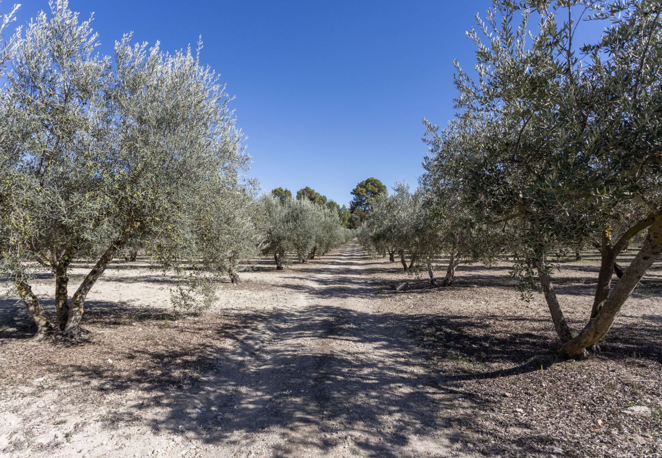 Villa in Selva - Villa Ses Comes Villa in Selva - Villa Ses Comes