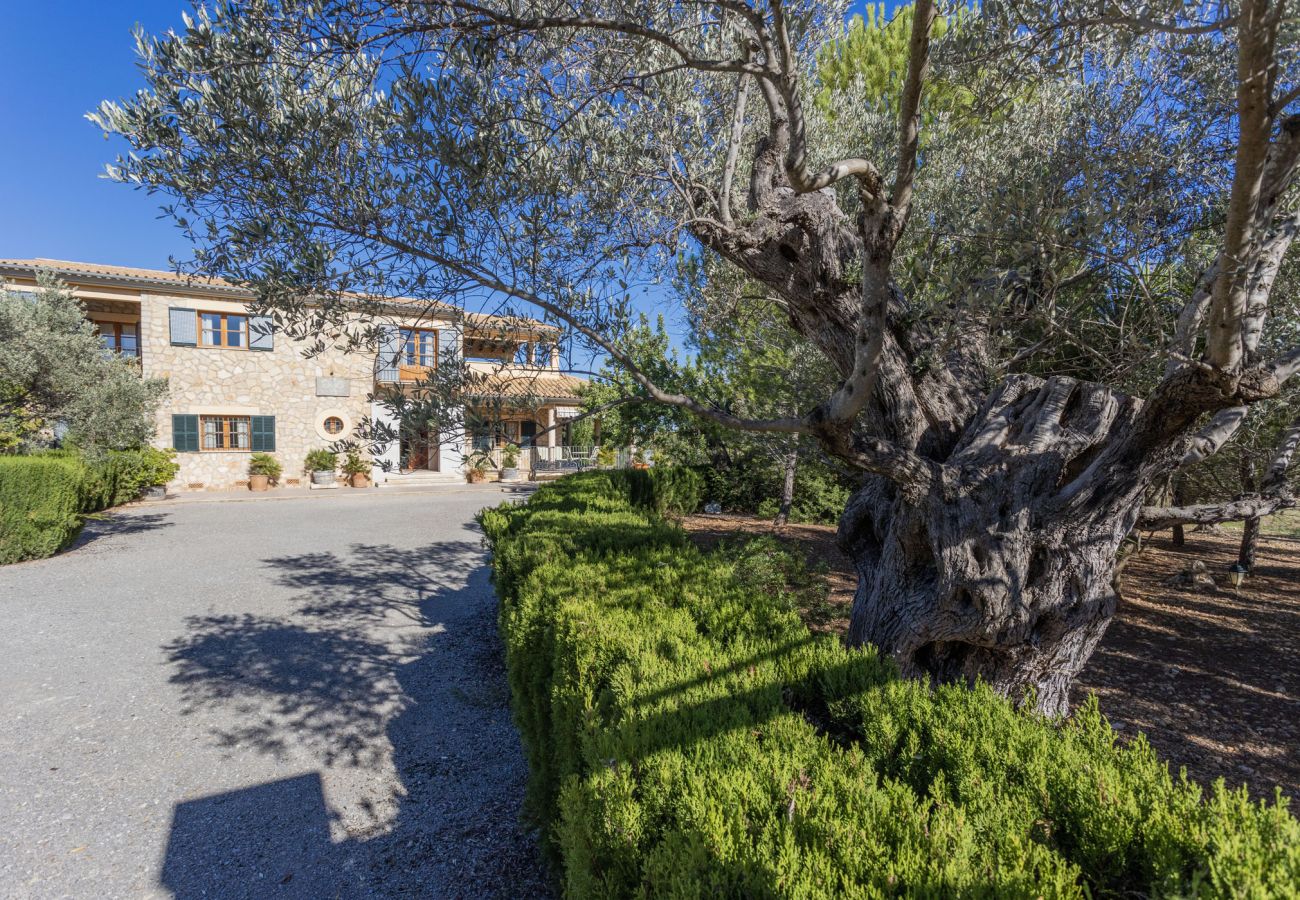 Villa in Selva - Villa Cas Mestre con piscina privada Villa in Selva - Villa Cas Mestre con piscina privada