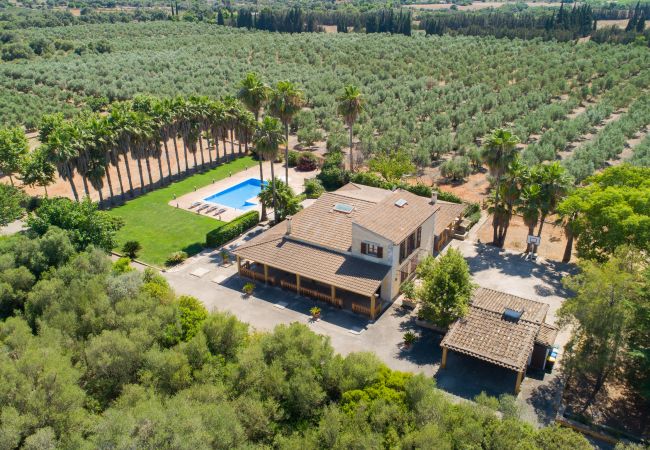 Villa in Llubi - Es Caulls