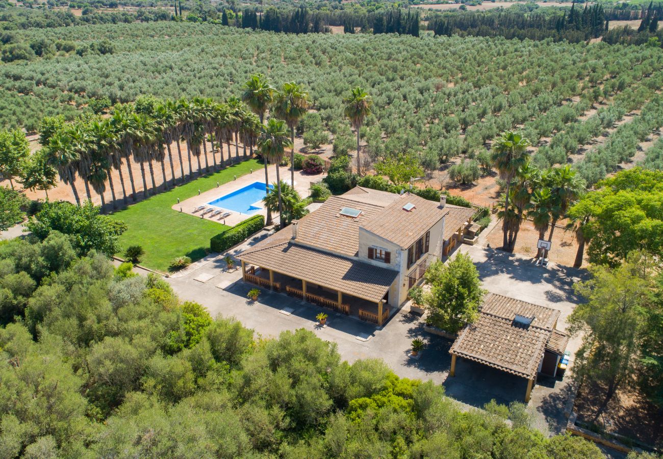 Villa in Llubi - Es Caulls